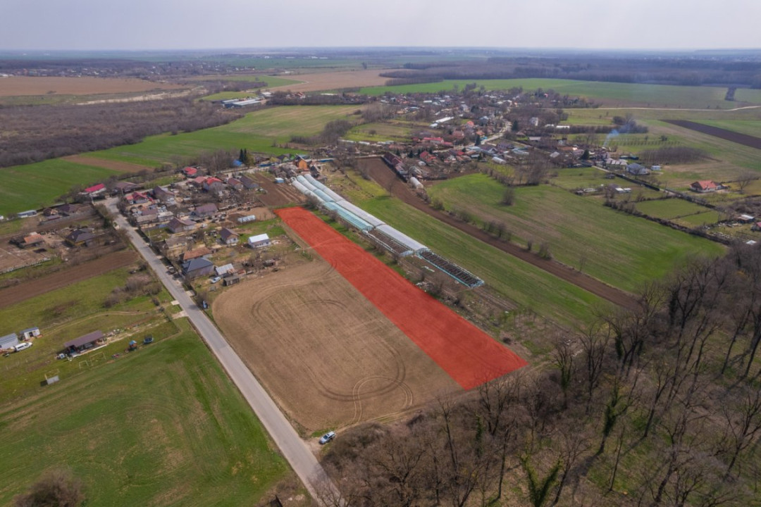 NUCI - BALTA NEAGRA, LOT 7000 MP, LA PADURE!