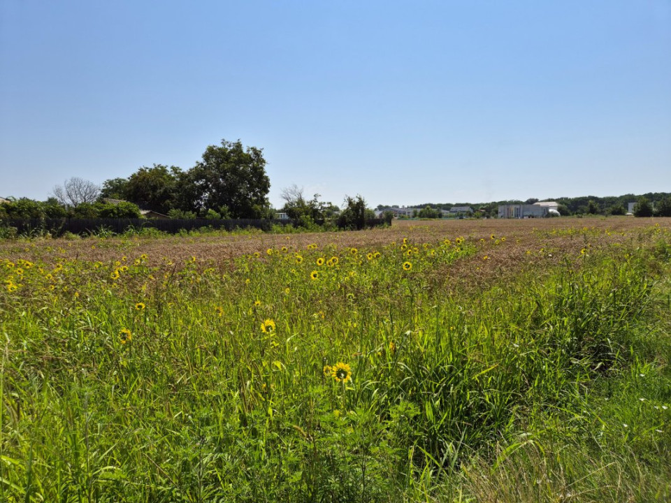 Teren 1.570mp la strada principală, dublă deschidere, Ciofliceni - Snagov!