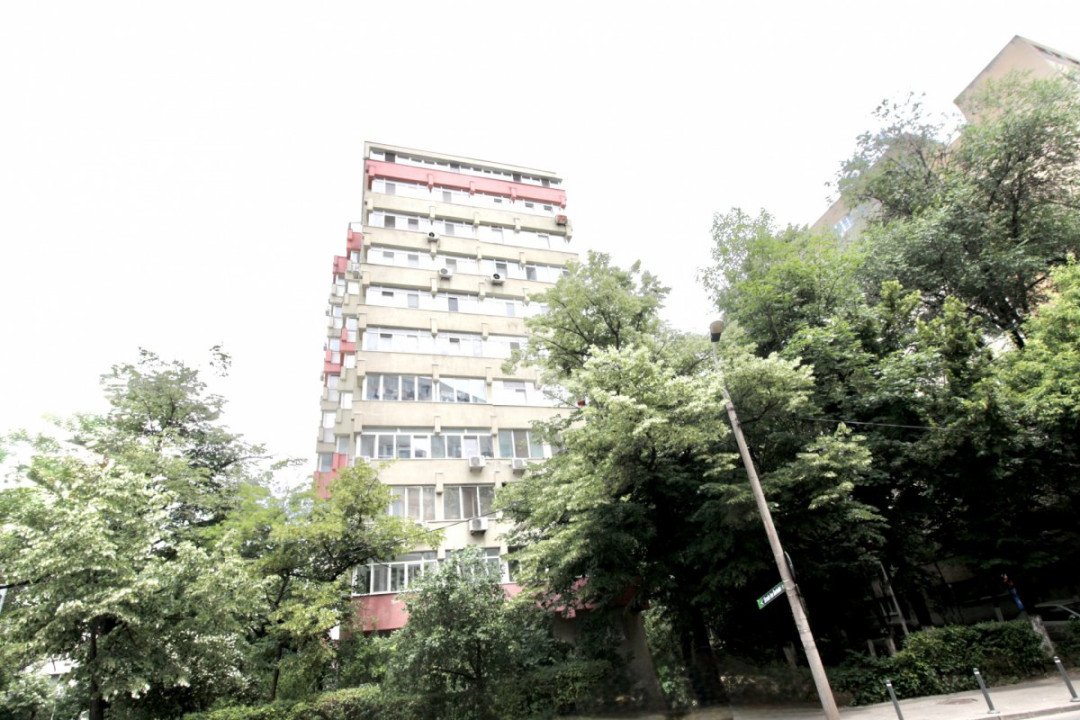 TEIUL DOAMNEI, DECOMANDAT, RENOVAT, NEMOBOILAT!