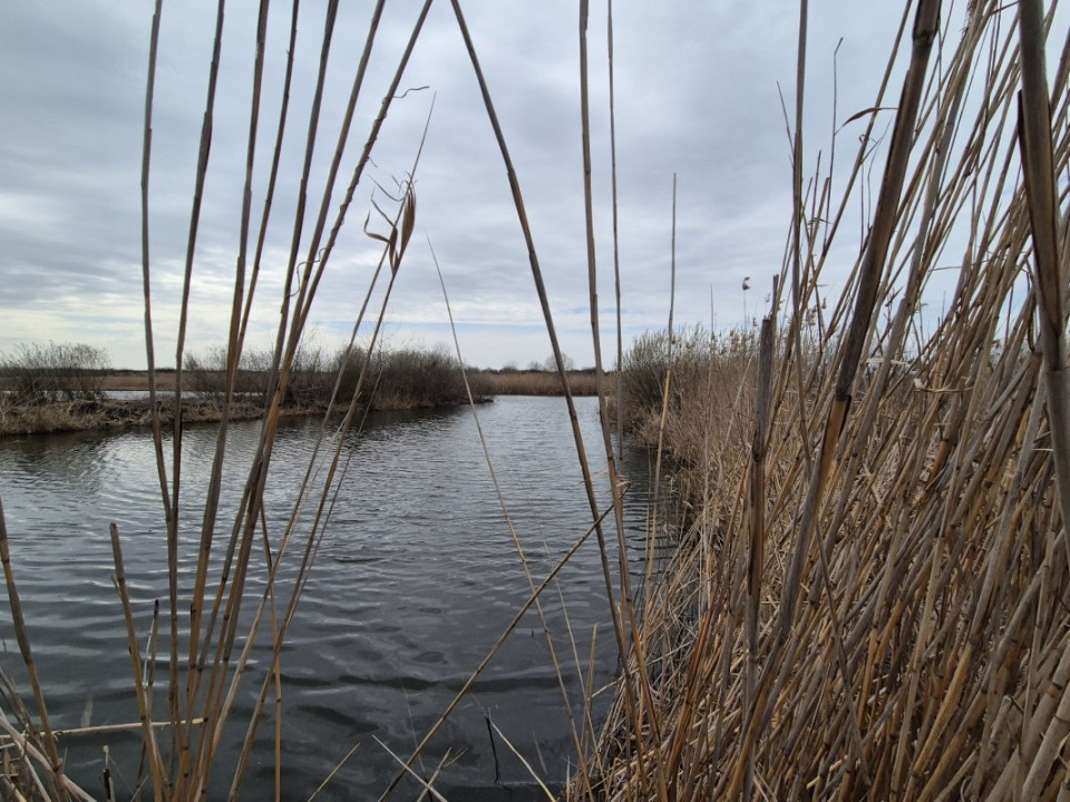  Izvorani - Teren cu deschidere generoasă la lacul Snagov