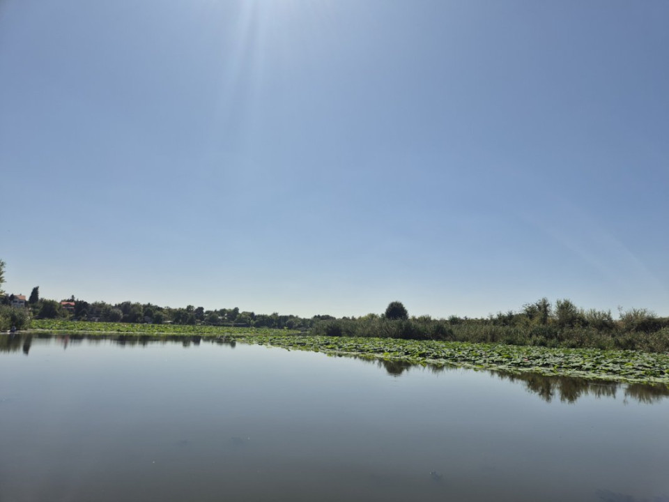  Izvorani - Teren cu deschidere generoasă la lacul Snagov