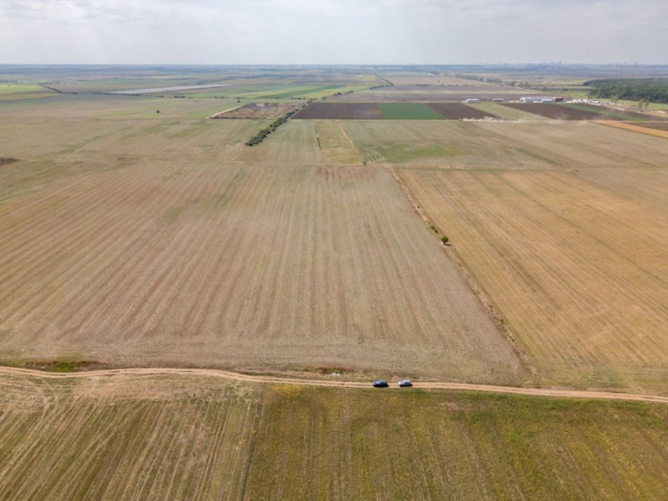 DASCALU - TEREN INTRAVILAN 7500 MP, INVESTITIE!