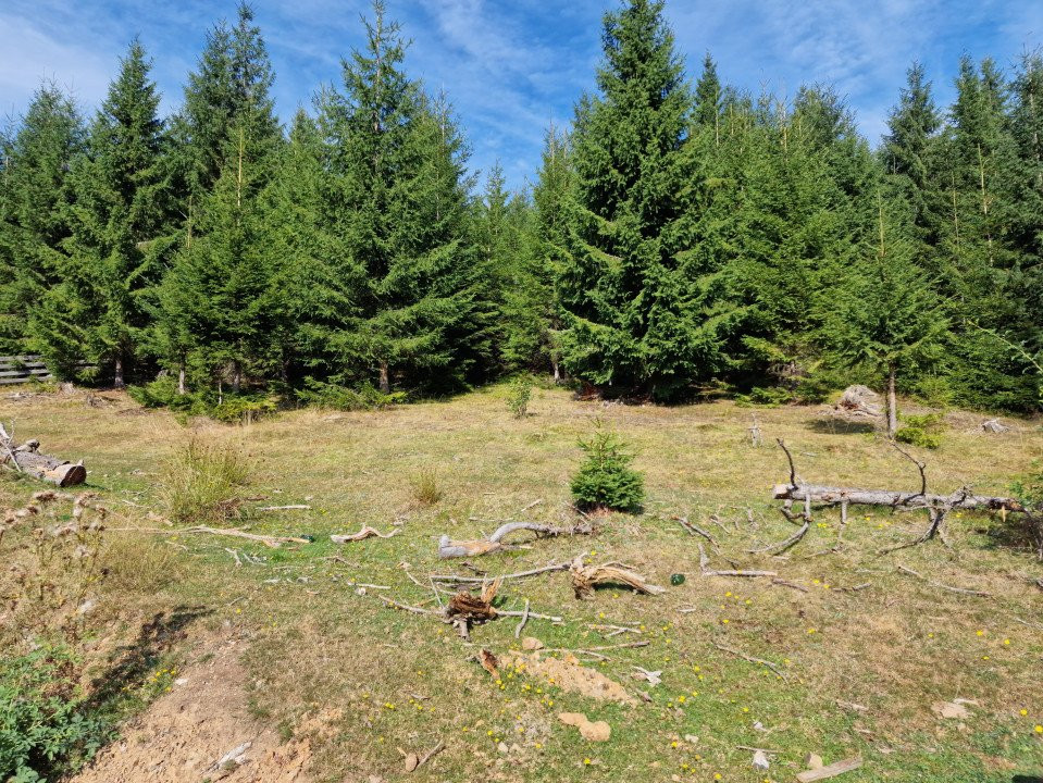 Teren intravilan, 2008 m2, Mărișel, jud. Cluj