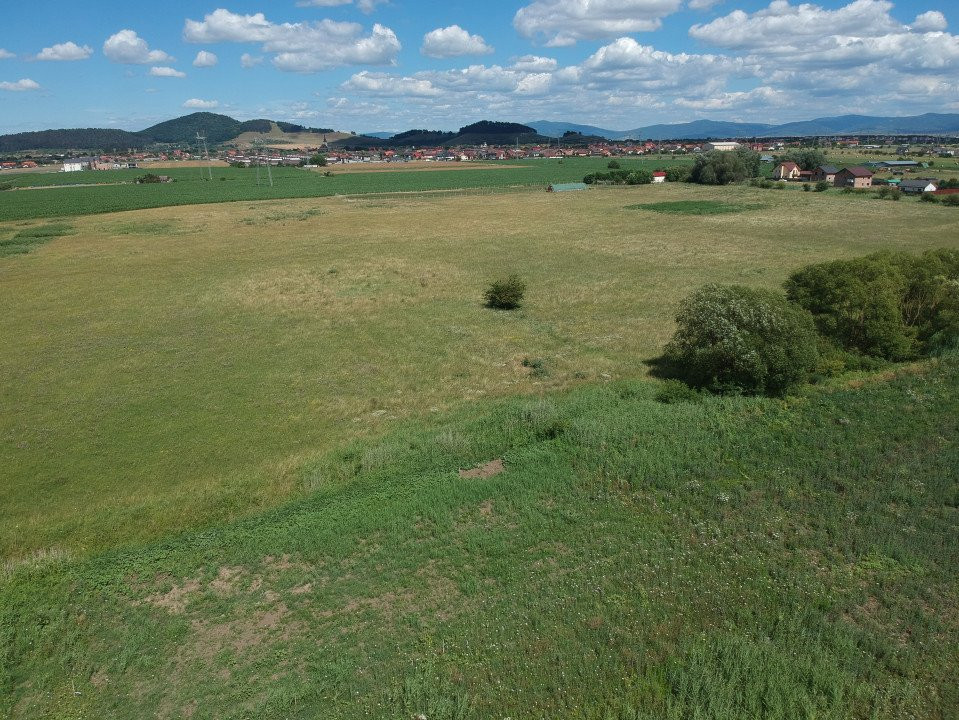 Teren intravilan cu PUZ, Sanpetru - Drumul cu Plopi